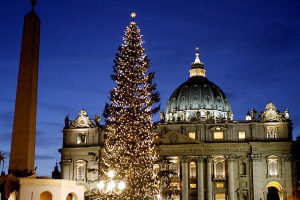 VATICAN CHRISTMAS TREE